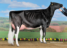 7HO10506d_02_201504_Atwood Lia EX-92_ger