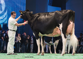 7HO10506d_12_201503_Galys Vray_Swiss-Expo-2015