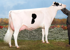 7HO10506d_19_201410_Erbacres Atwood Divinity-ET