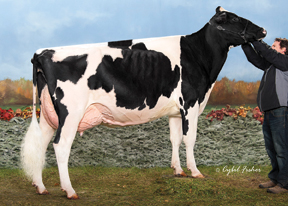 7HO10506d_31_201410_Crasdale Atwood Enerita