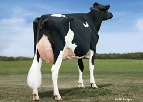 7HO10506d_38_201307_BVK Atwood Abrianna-ET_3qtrrear