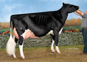 7HO10506d_42_201310_BVK Atwood Andrea-ET