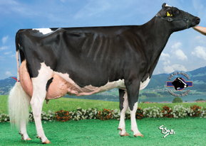 7HO10506d_60_201606_Rising Atwood 181 G.S.Alliance-Ruegret