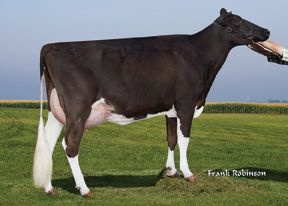 7HO10849d_21_201403_Genie-J Shamrock Mollie