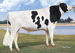 7HO11314s_02_201412_Mountfield SSI Dcy Mogul-ET